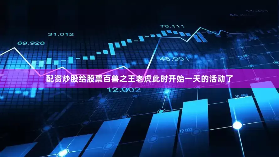 配资炒股给股票百兽之王老虎此时开始一天的活动了