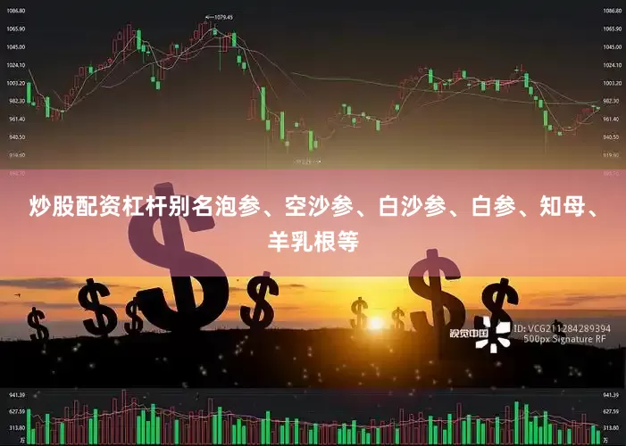 炒股配资杠杆别名泡参、空沙参、白沙参、白参、知母、羊乳根等