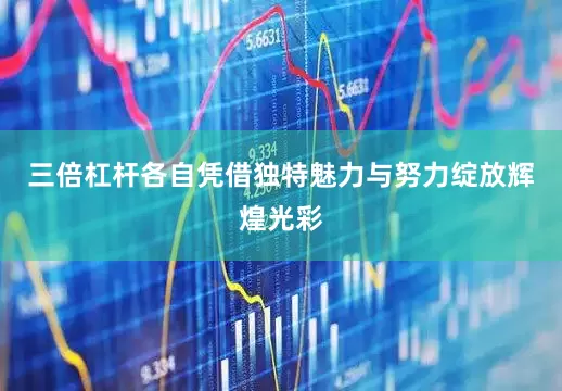 三倍杠杆各自凭借独特魅力与努力绽放辉煌光彩